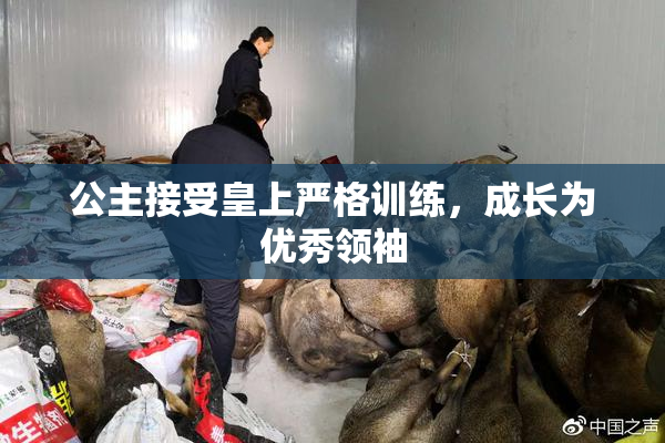 公主接受皇上严格训练，成长为优秀领袖