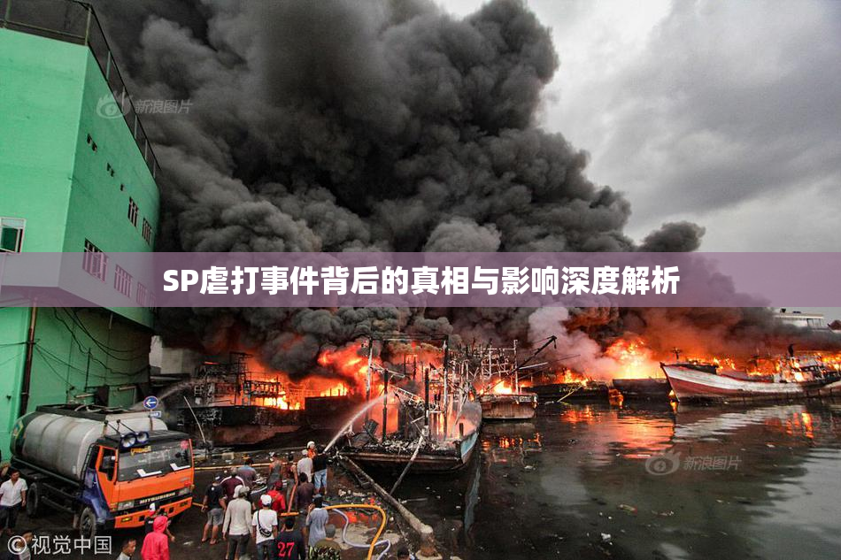 SP虐打事件背后的真相与影响深度解析