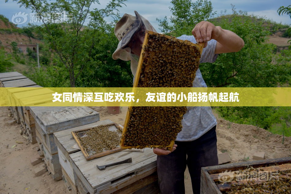 女同情深互吃欢乐，友谊的小船扬帆起航