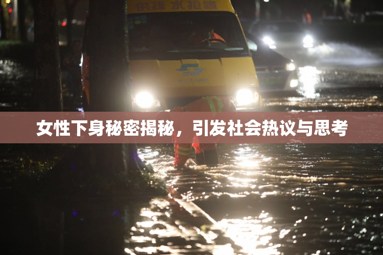 女性下身秘密揭秘，引发社会热议与思考