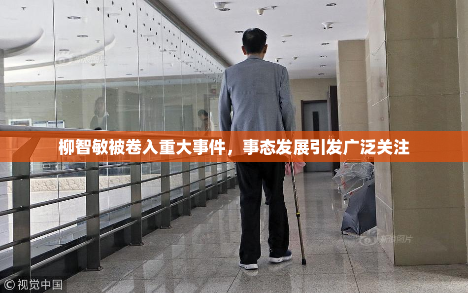 柳智敏被卷入重大事件，事态发展引发广泛关注