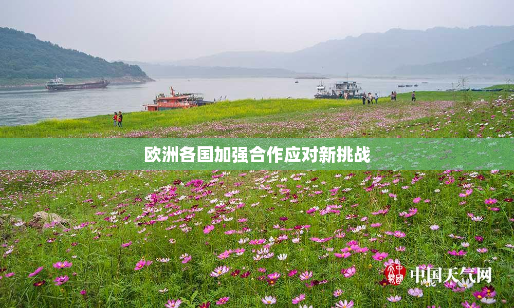 欧洲各国加强合作应对新挑战