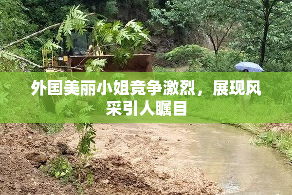 外国美丽小姐竞争激烈，展现风采引人瞩目