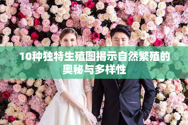 10种独特生殖图揭示自然繁殖的奥秘与多样性