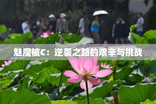 魅魔被C：逆袭之路的艰辛与挑战