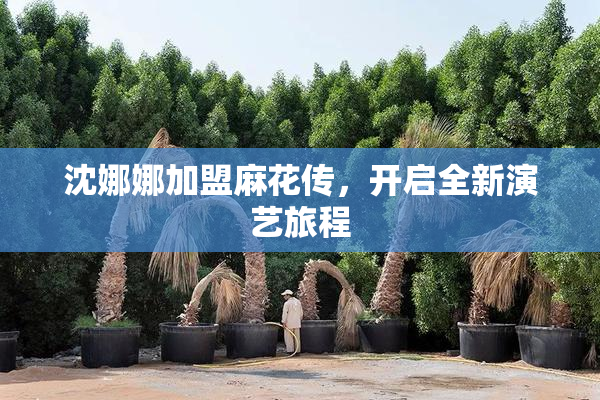沈娜娜加盟麻花传，开启全新演艺旅程