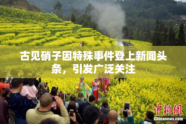 古见硝子因特殊事件登上新闻头条，引发广泛关注
