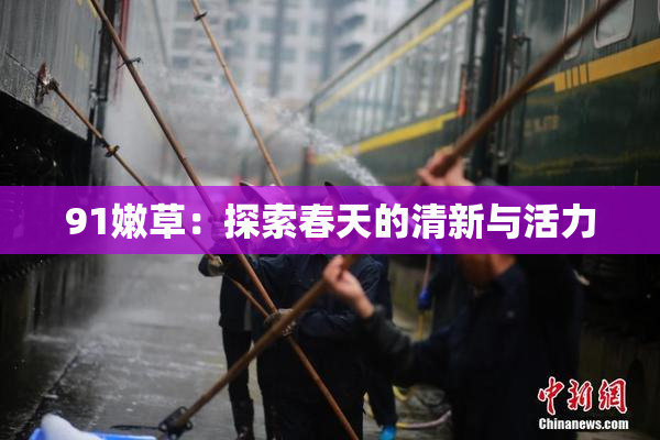 91嫩草：探索春天的清新与活力