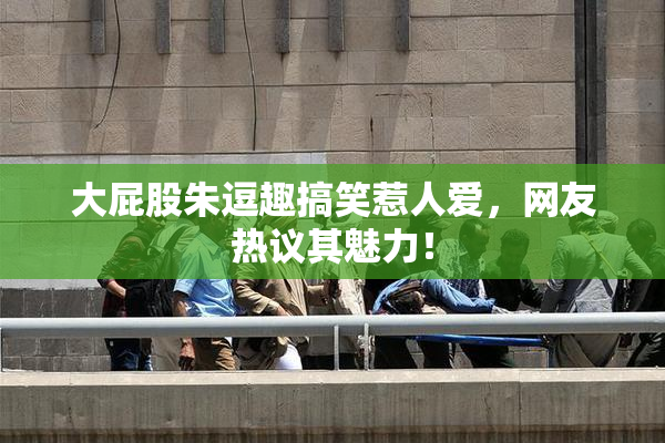 大屁股朱逗趣搞笑惹人爱，网友热议其魅力！