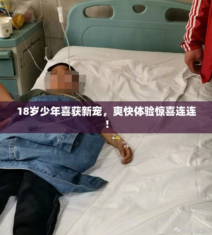 18岁少年喜获新宠，爽快体验惊喜连连！