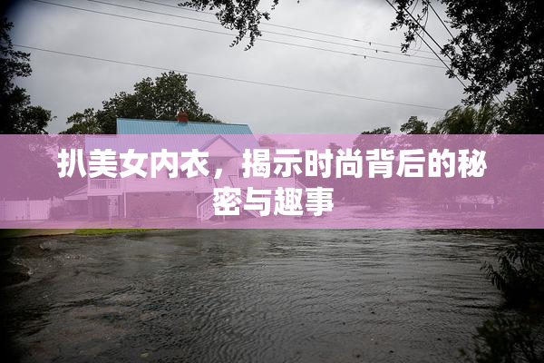扒美女内衣，揭示时尚背后的秘密与趣事