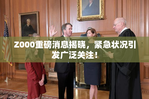 Z000重磅消息揭晓，紧急状况引发广泛关注！
