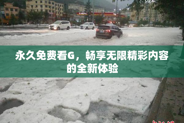 永久免费看G，畅享无限精彩内容的全新体验