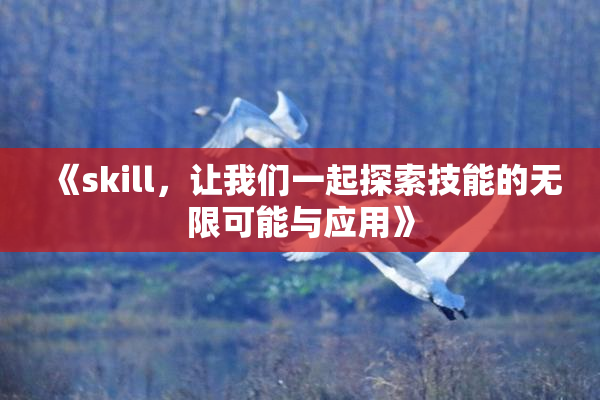 《skill，让我们一起探索技能的无限可能与应用》