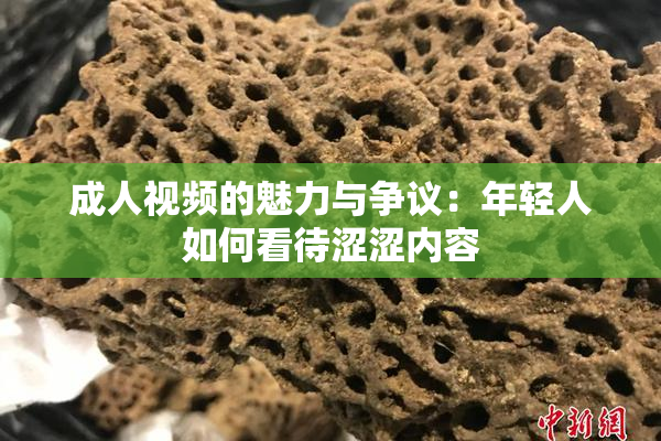 成人视频的魅力与争议：年轻人如何看待涩涩内容