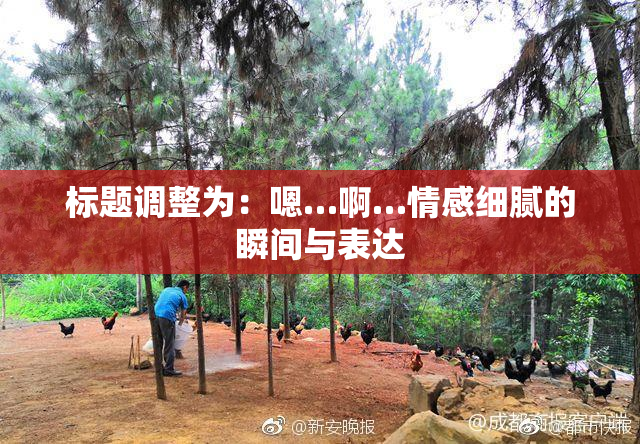 标题调整为：嗯…啊…情感细腻的瞬间与表达