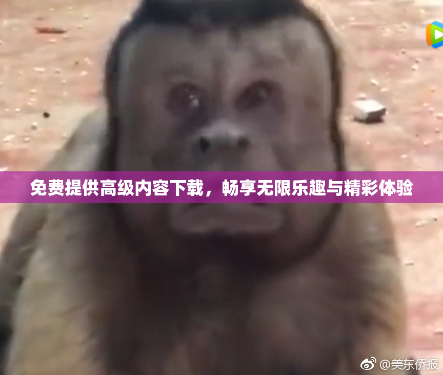 免费提供高级内容下载，畅享无限乐趣与精彩体验