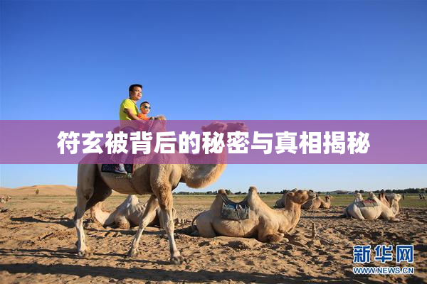 符玄被背后的秘密与真相揭秘