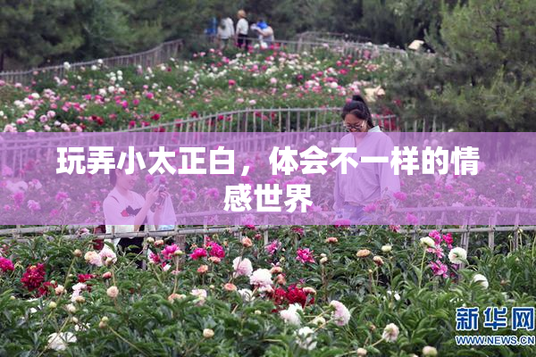 玩弄小太正白，体会不一样的情感世界