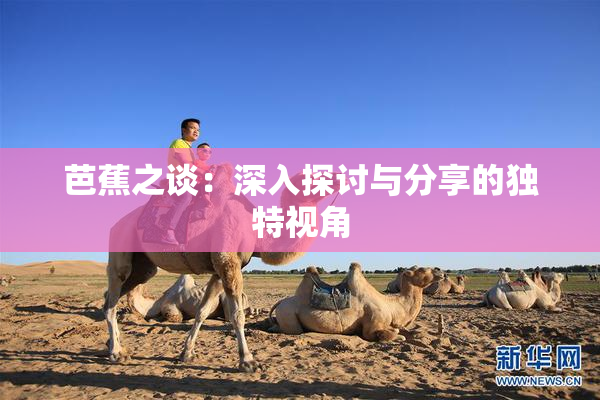 芭蕉之谈：深入探讨与分享的独特视角