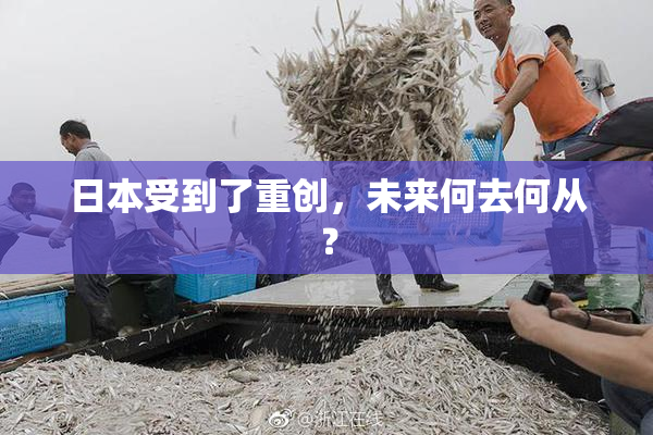 日本受到了重创，未来何去何从？
