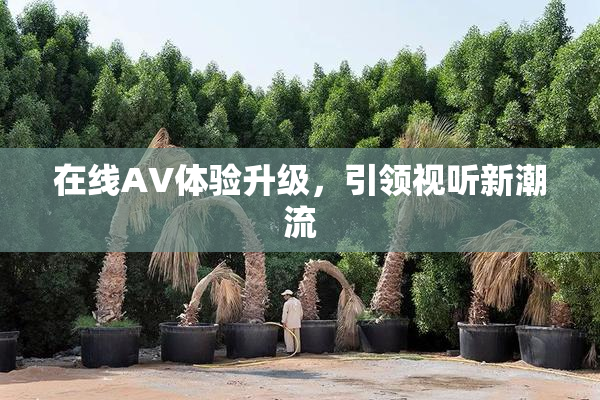 在线AV体验升级，引领视听新潮流