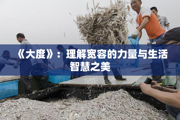 《大度》：理解宽容的力量与生活智慧之美