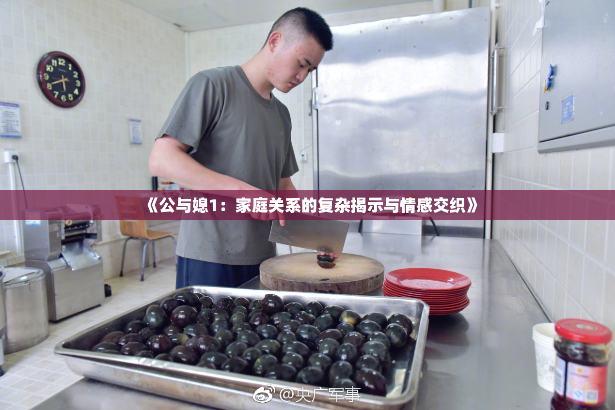 《公与媳1：家庭关系的复杂揭示与情感交织》