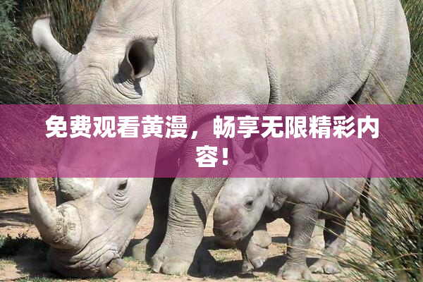 免费观看黄漫，畅享无限精彩内容！