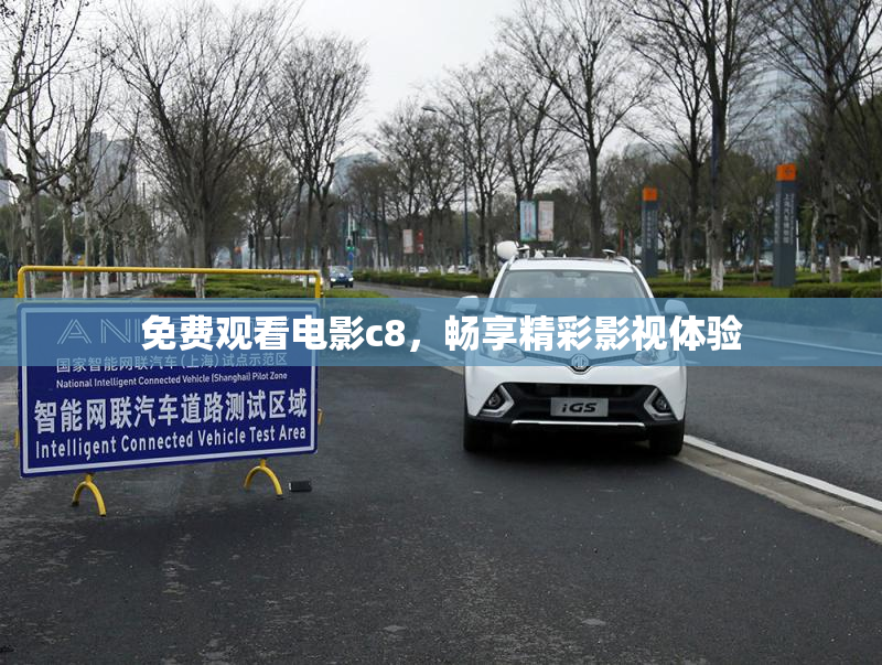 免费观看电影c8，畅享精彩影视体验