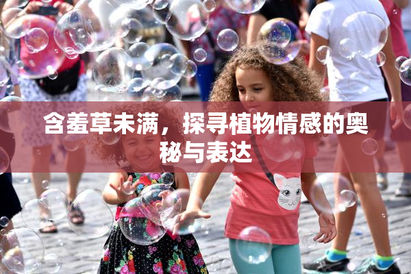 含羞草未满，探寻植物情感的奥秘与表达