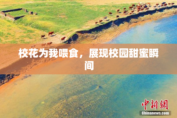 校花为我喂食，展现校园甜蜜瞬间