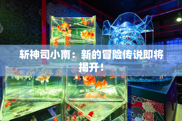 斩神司小南：新的冒险传说即将揭开！