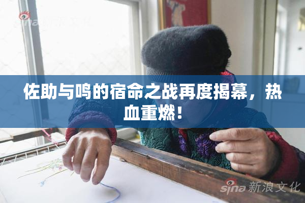 佐助与鸣的宿命之战再度揭幕，热血重燃！
