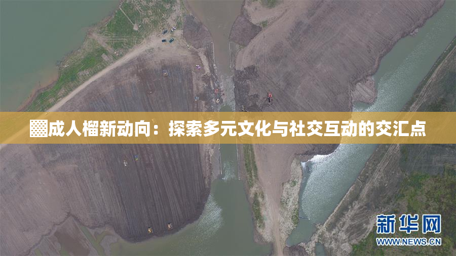 ▓成人榴新动向：探索多元文化与社交互动的交汇点