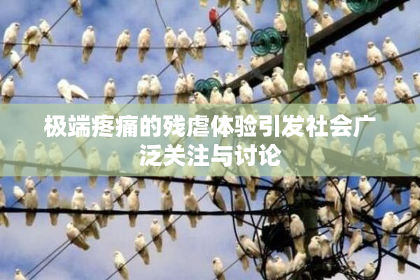 极端疼痛的残虐体验引发社会广泛关注与讨论