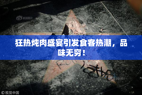 狂热炖肉盛宴引发食客热潮，品味无穷！