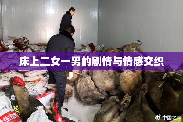 床上二女一男的剧情与情感交织