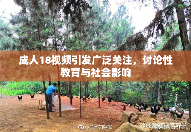 成人18视频引发广泛关注，讨论性教育与社会影响