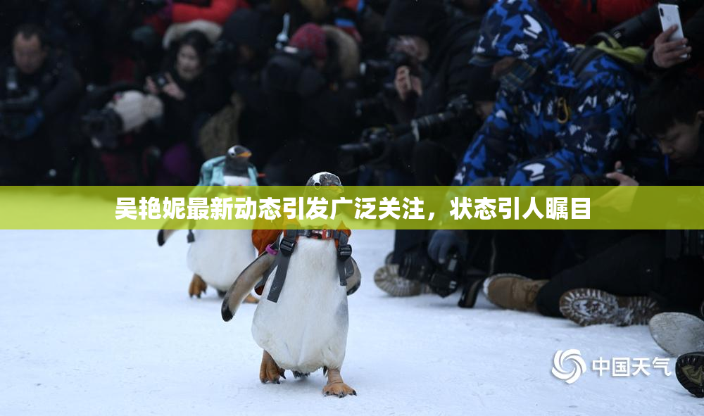 吴艳妮最新动态引发广泛关注，状态引人瞩目