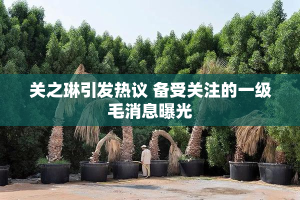 关之琳引发热议 备受关注的一级毛消息曝光