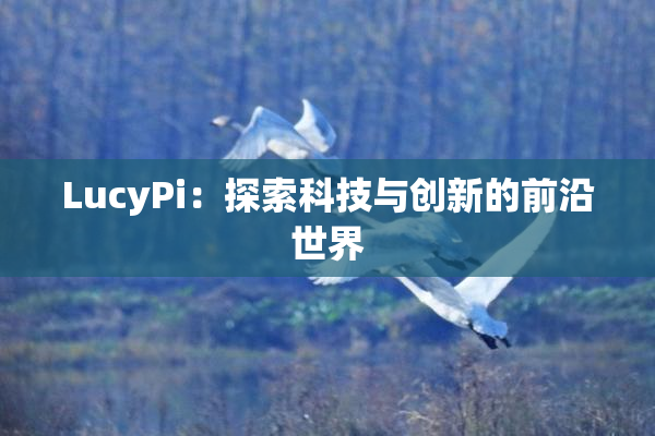 LucyPi：探索科技与创新的前沿世界