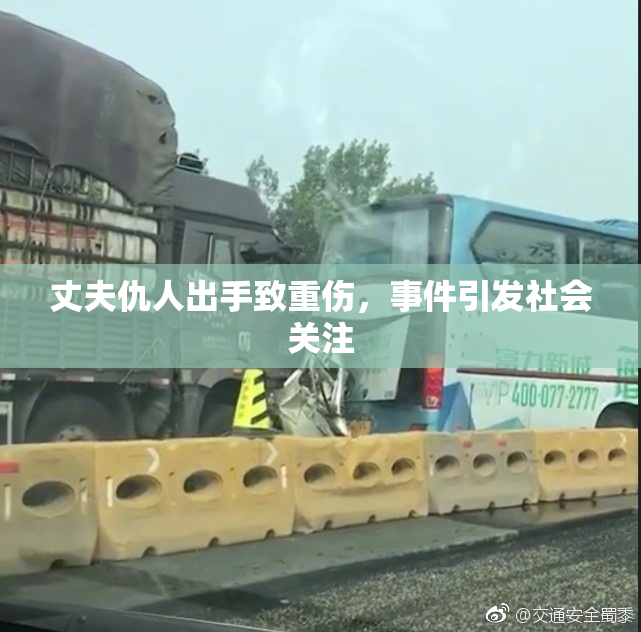 丈夫仇人出手致重伤，事件引发社会关注