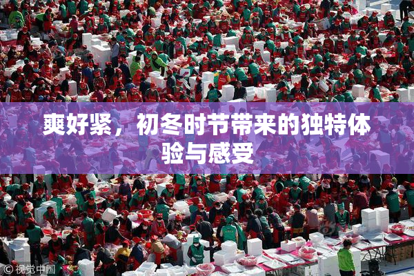 爽好紧，初冬时节带来的独特体验与感受