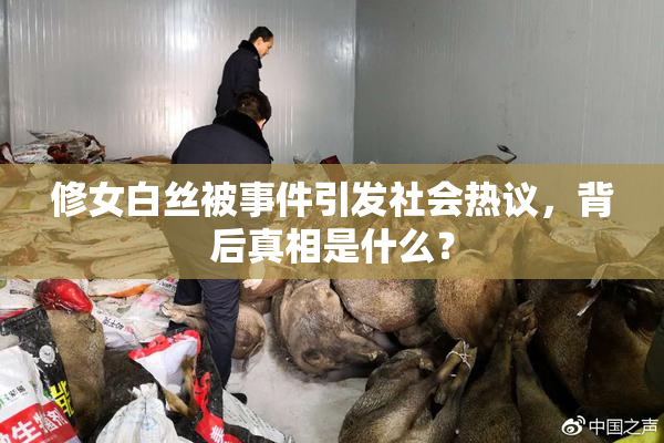 修女白丝被事件引发社会热议，背后真相是什么？