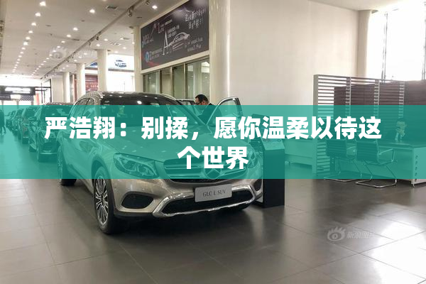 严浩翔：别揉，愿你温柔以待这个世界