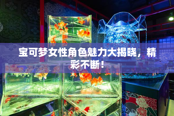 宝可梦女性角色魅力大揭晓，精彩不断！