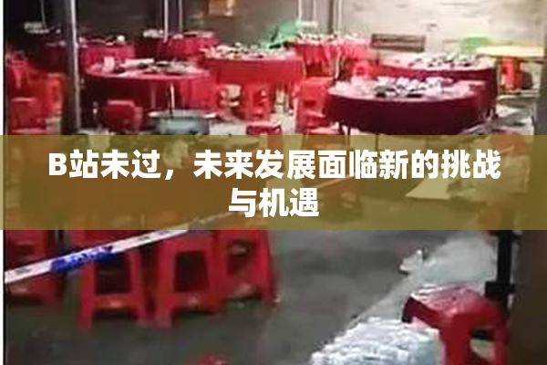 B站未过，未来发展面临新的挑战与机遇