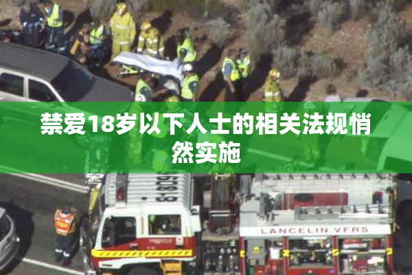 禁爱18岁以下人士的相关法规悄然实施