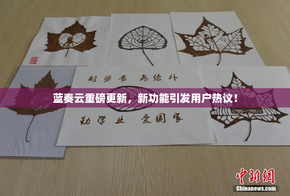 蓝奏云重磅更新，新功能引发用户热议！